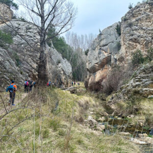 44 - Regreso ruta rio Ancho 