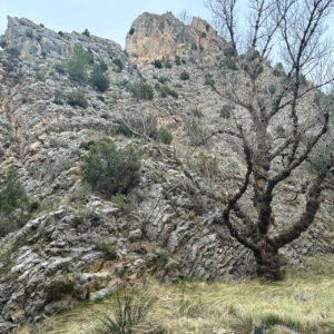 46 - Regreso ruta rio Ancho