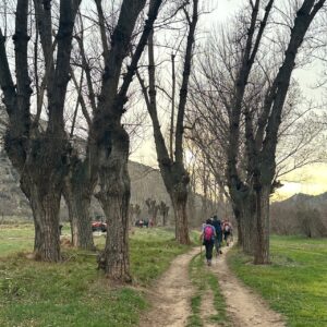 49 - El regreso 