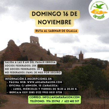 Excursión: Sabinar de Olalla – 16 de noviembre con ANSAR