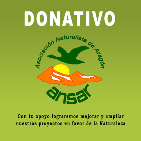 Donativo 1