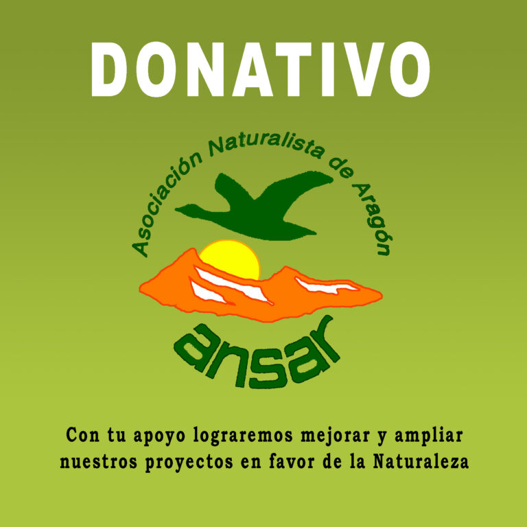 Donación