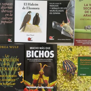 Novedades de la biblioteca: tercer trimestre de 2025