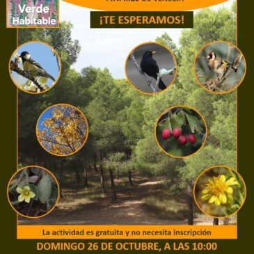 Otoño en el pinar: la biodiversidad de los Pinares de Venecia