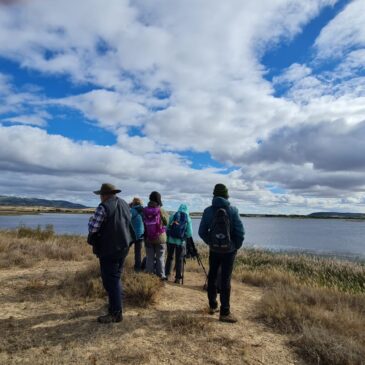 De vuelta a Pitillas y Dos Reinos