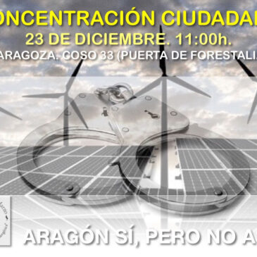 Concentración ciudadana en la oficina zaragozana de Forestalia