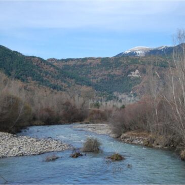 Salida ornitológica por Biescas