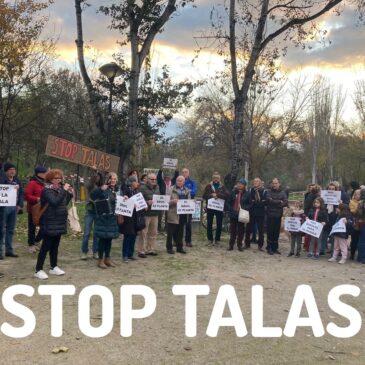 Demandamos al Ayuntamiento Información y Participación sobre el proyecto de plantaciones en el Parque Bruil