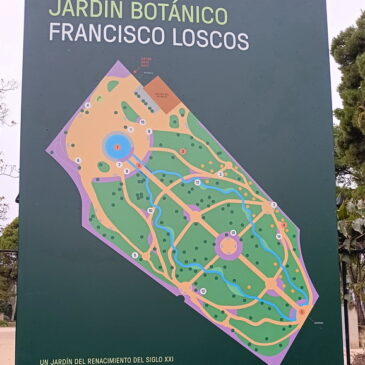 Salida al remodelado Jardín Botánico de Zaragoza