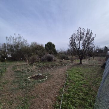 Memoria de actividades del Vivero 2025