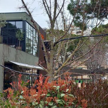 Solicitamos la tramitación de las denuncias