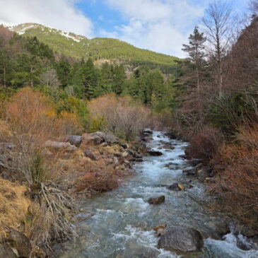 Salida del Grupo de Botánica a Aísa