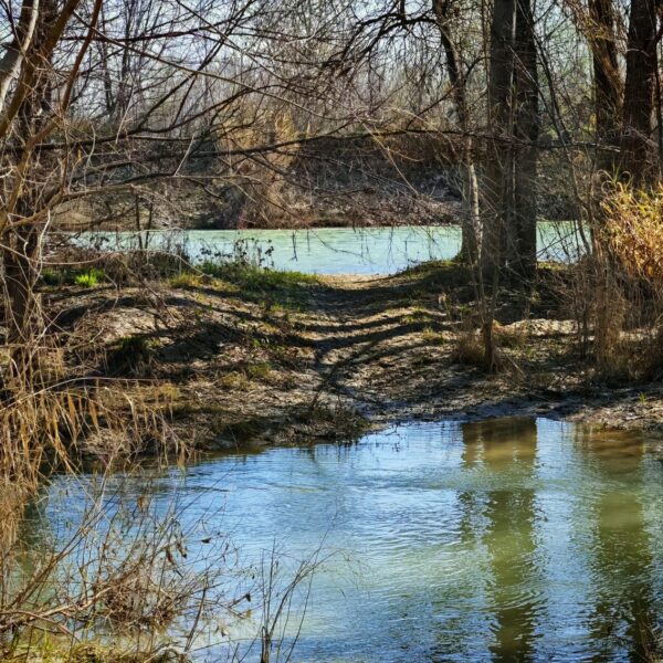 Gállego - Vanesa Gallego