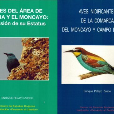 Novedades de la biblioteca: primer trimestre de 2026