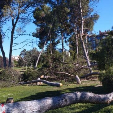 Pésima gestión de las zonas verdes de Zaragoza