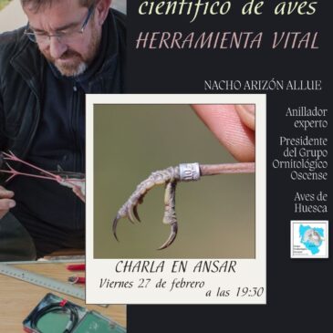 El anillamiento científico de aves – Charla de Nacho Arizón en ANSAR
