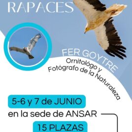 Protegido: Curso de rapaces
